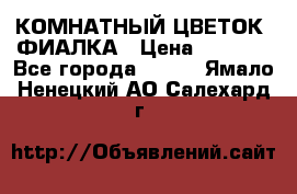КОМНАТНЫЙ ЦВЕТОК -ФИАЛКА › Цена ­ 1 500 - Все города  »    . Ямало-Ненецкий АО,Салехард г.